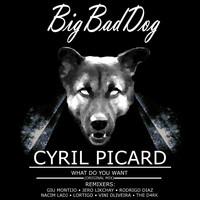 Cyril Picard - What Do You Want