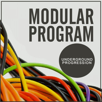 Various Artists - Modular Program: Underground Progression