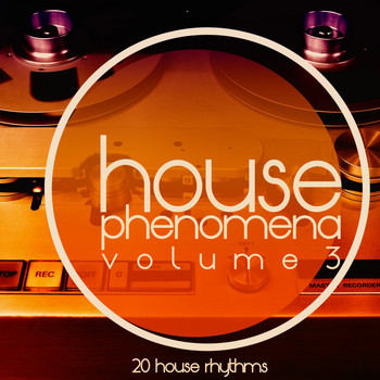 Various Artists - House Phenomena, Vol. 3
