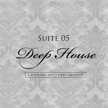 Various Artists - Suite 05 (A Journey into Deep Grooves)