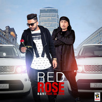 Ravi - Red Rose