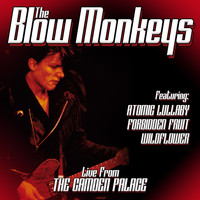 The Blow Monkeys - Live From London
