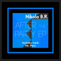 Nikola B.R. - After the Party EP