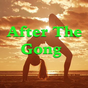 Various Artists - After The Gong
