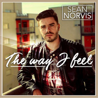 Sean Norvis - The Way I Feel