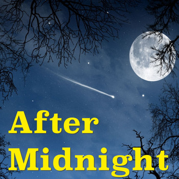 Various Artists - After Midnight