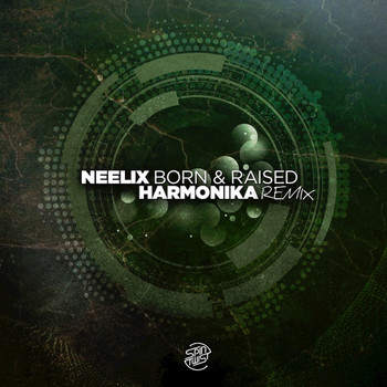 Neelix - Born & Raised (Harmonika Remix)