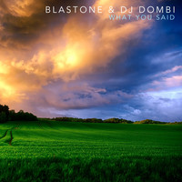 Blastone & DJ Dombi - What You Said