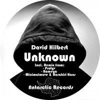 David Hilbert - Unknown