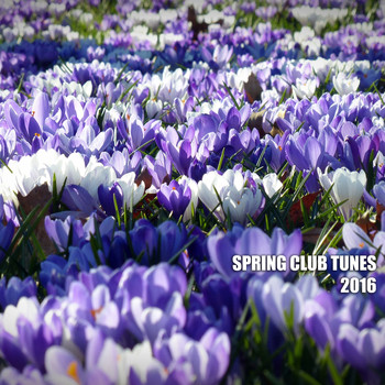 Various Artists - Spring Club Tunes 2016