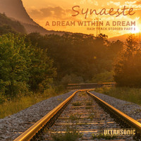 Synaeste - A Dream Within a Dream: Rail Track Stories, Pt. 1
