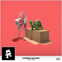 Stephen Walking - Turtle Town