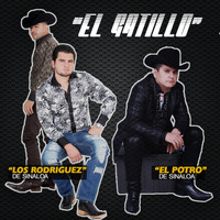 El Potro De Sinaloa - El Gatillo (feat. El Potro De Sinaloa)
