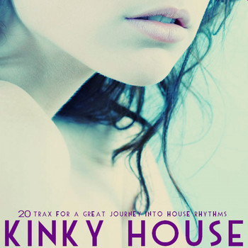 Various Artists - Kinky House (20 Trax for a Great Journey into House Rhythms)