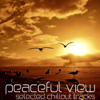 Various Artists - Peaceful View