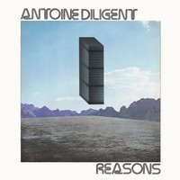 Antoine Diligent - Reasons