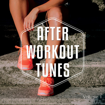 Various Artists - After Workout Tunes