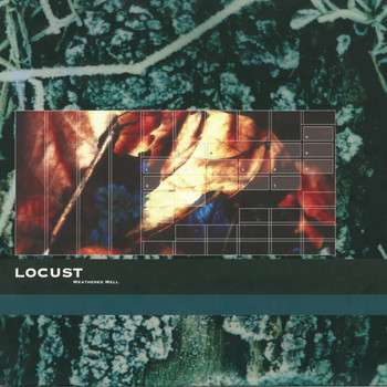Locust - Weathered Well