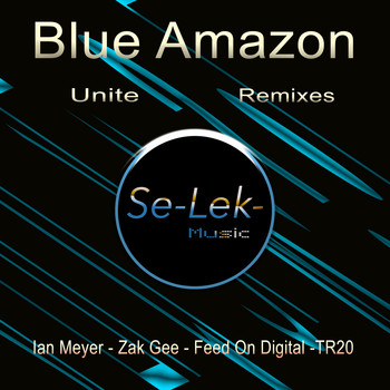 Blue Amazon - Unite Remixes