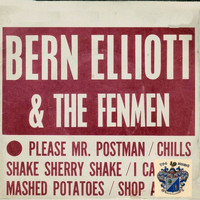 Bern Elliott and The Fenmen - Please Mr. Postman