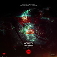 Monista - VI Mass Remix EP Part II