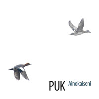 Puk - Ainokaiseni