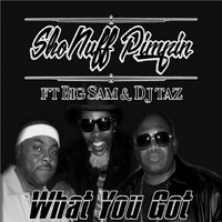 DJ Taz - What You Got (feat. DJ Taz & Big Sam)