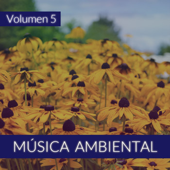 The Sunshine Orchestra - Música Ambiental (Volumen 5)