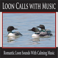 Robbins Island Music Group - Loon Calls with Music: Romantic Loon Sounds with Calming Music