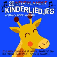 Kinderliedjes - 20 Nederlandse kinderliedjes