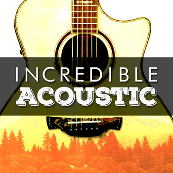 Various Artists - Incredible Acoustic