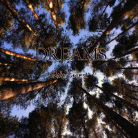 Dreams - Rain Forest