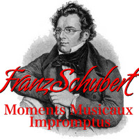 Jenő Jandó - Franz Schubert Moments Musicaux, Impromptus
