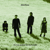 Fake Moss - It's You Against the City Tonight