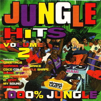 Various Artists - Jungle Hits, Vol. 2