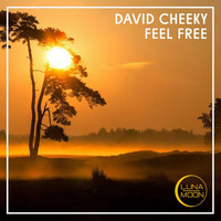 David Cheeky - Feel Free