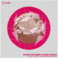 Swann Decamme - QI