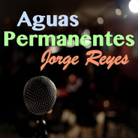 Jorge Reyes - Aguas Permanentes