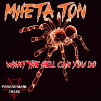 MheTa Ton - What The Hell Can You Do