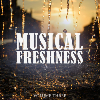 Various Artists - Musical Freshness, Vol. 3 (Awesome Selection Of Groovy Dance Music)