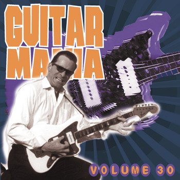 Various Artists - Guitar Mania, Vol. 30