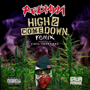 Redman - High 2 Come Down (Remix)