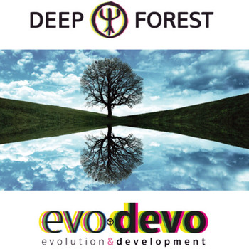Deep Forest - Somewhere