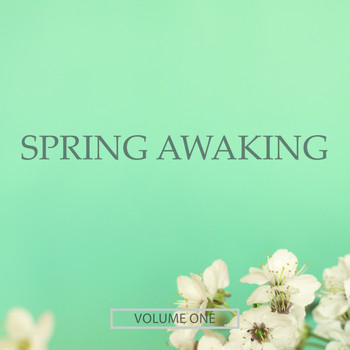 Various Artists - Spring Awaking, Vol. 1 (Finest Selection Of Chill Out & Ambient Music)