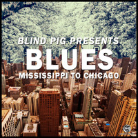 Various Artists - Blind Pig Presents: Mississippi to Chicago Blues