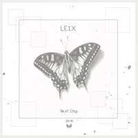 Leix - Next Step