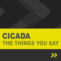 Cicada - The things you say