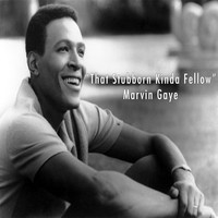 Marvin Gaye - That Stubborn Kinda Fellow - Marvin Gaye