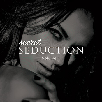 Various Artists - Secret Seduction, Vol. 1 (Sexy Chill House & Down Beats)