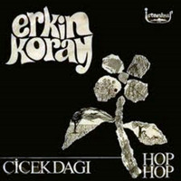 Erkin Koray - Çiçek Dağı / Hop Hop (45'lik)